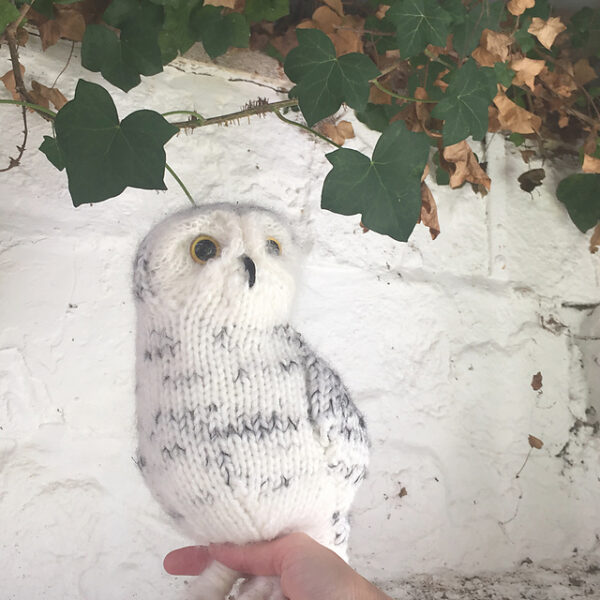 Snowy Owl par Claire Garland